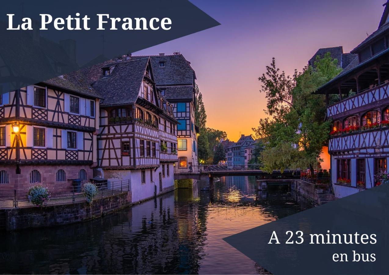 Le Reve Bleu - Golden Tree - Wifi - 15Min Centre Ville De Strasbourg ชิลติงไฮม์ ภายนอก รูปภาพ